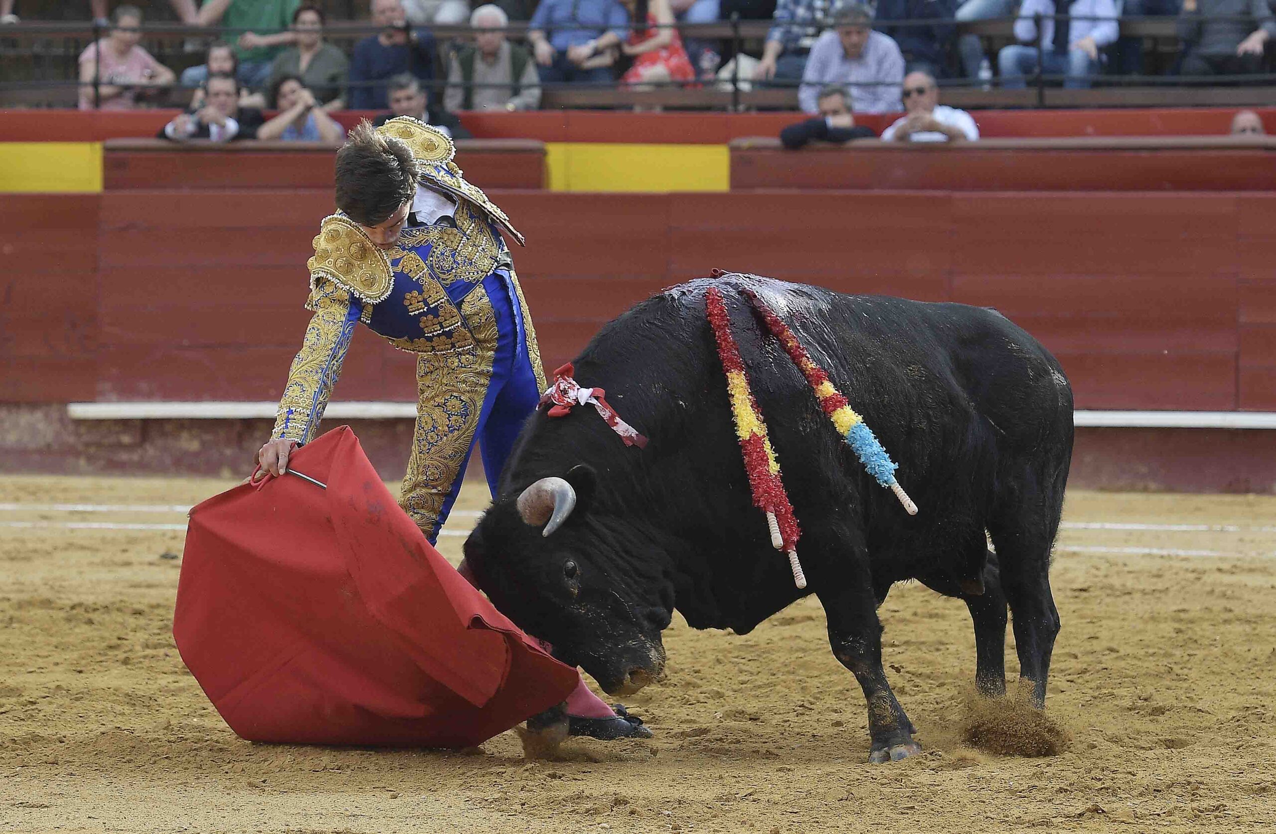 Valencia - Novillada Picada - Sábado 12 de mayo de 2018