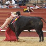 Valencia - Novillada Picada - Sábado 12 de mayo de 2018