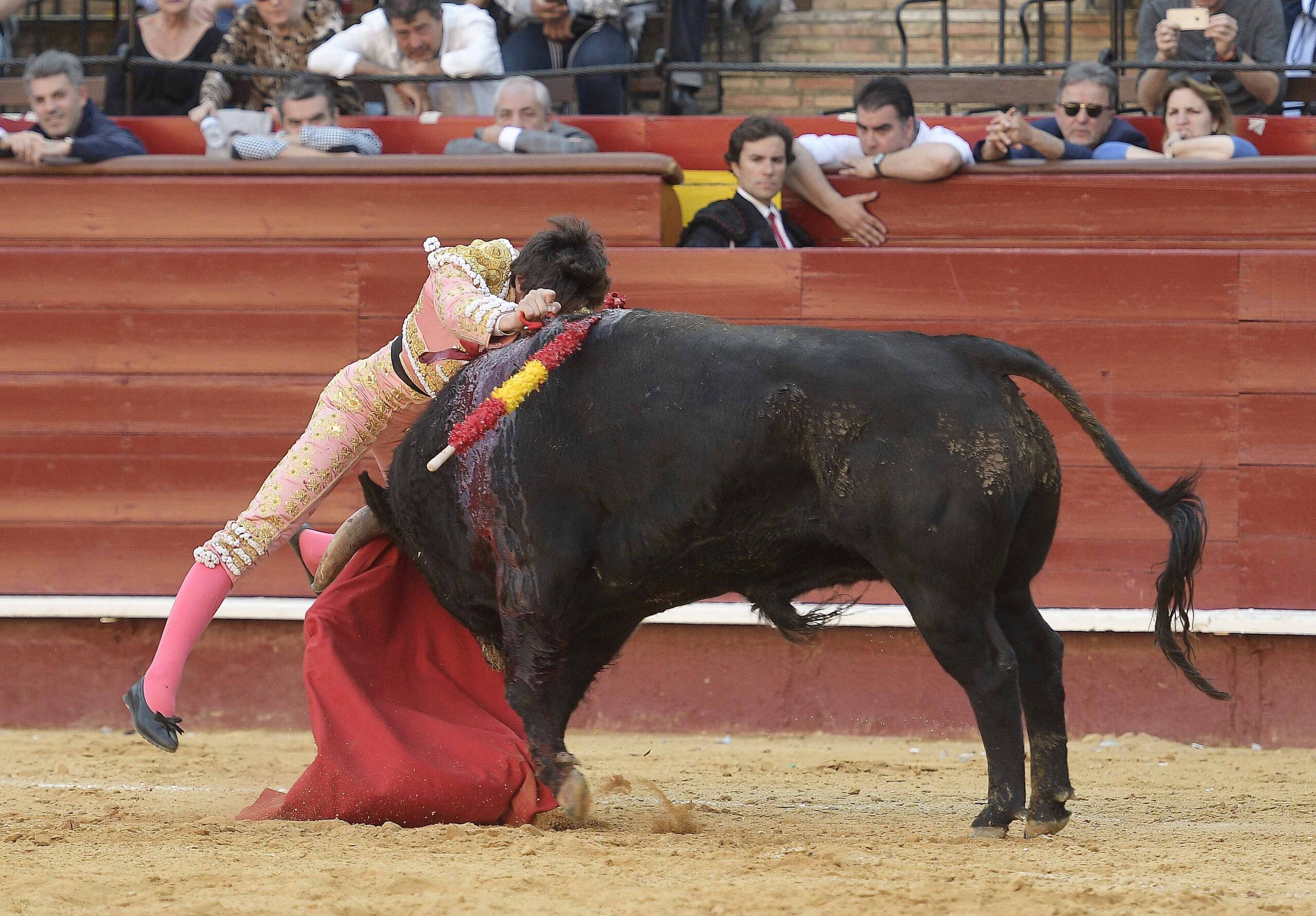 Valencia - Novillada Picada - Sábado 12 de mayo de 2018