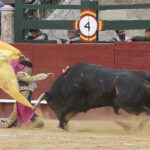 Valencia - Novillada Picada - Sábado 12 de mayo de 2018