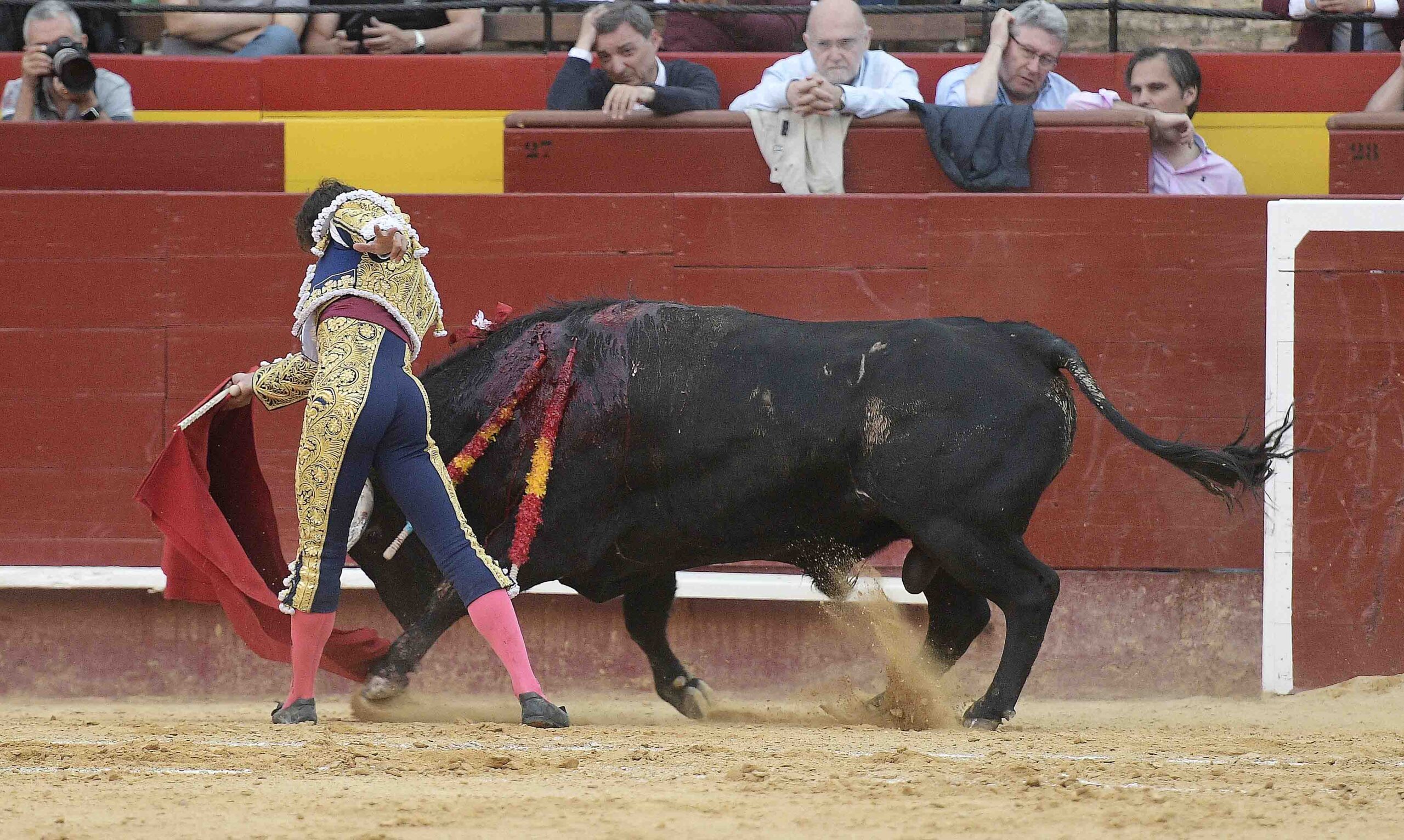 Valencia - Novillada Picada - Sábado 12 de mayo de 2018