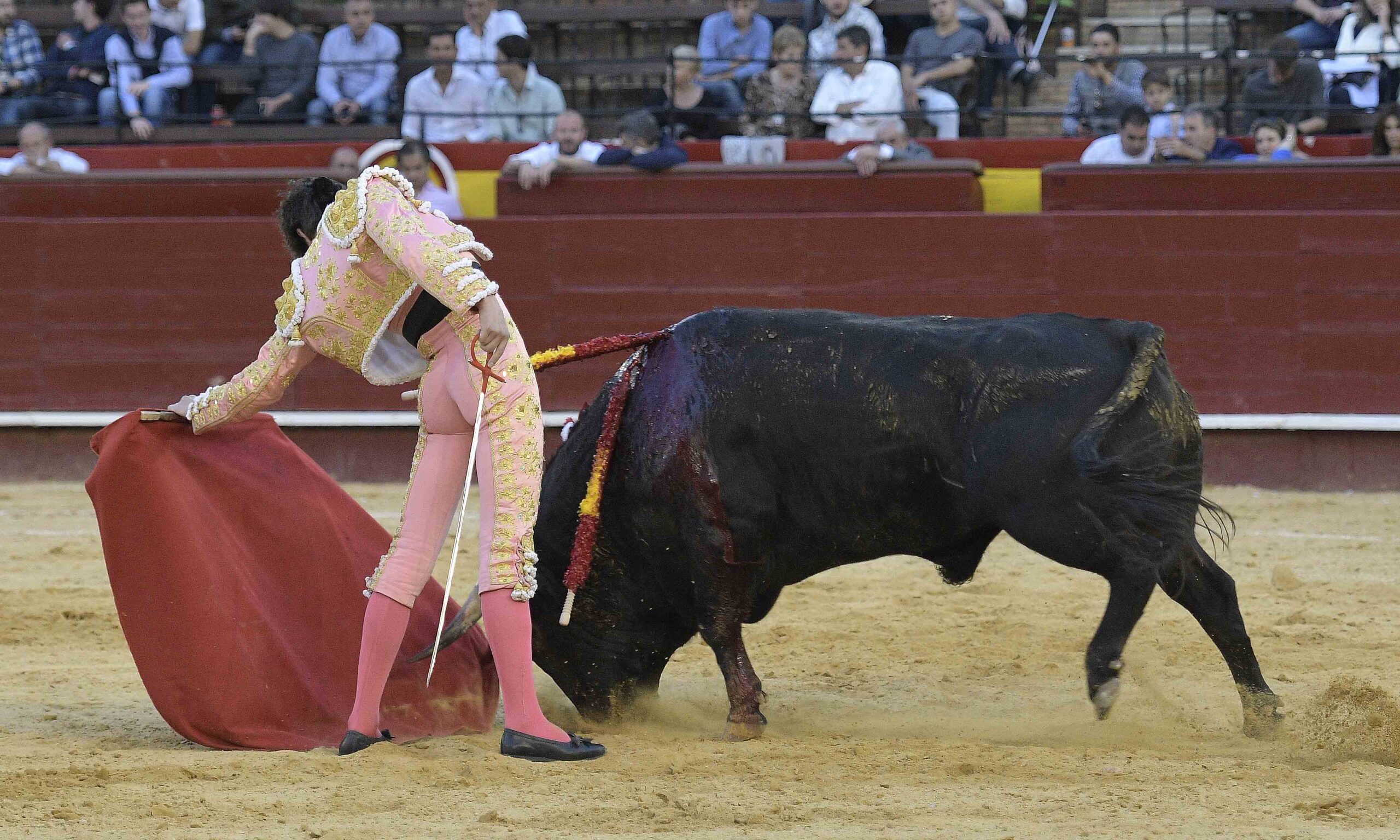 Valencia - Novillada Picada - Sábado 12 de mayo de 2018