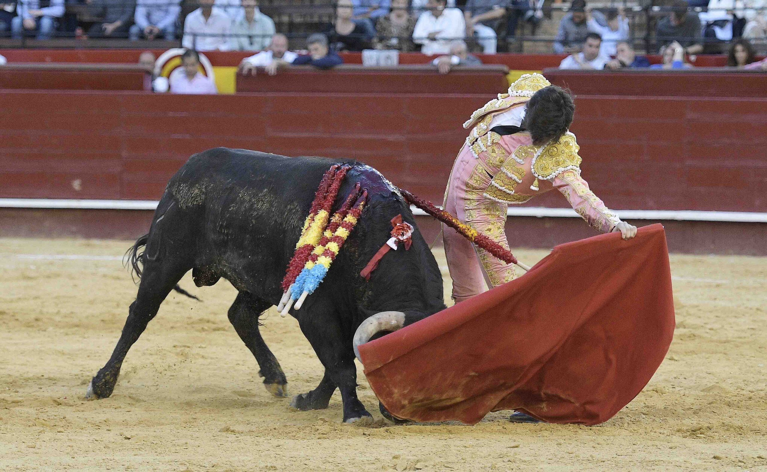 Valencia - Novillada Picada - Sábado 12 de mayo de 2018