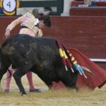 Valencia - Novillada Picada - Sábado 12 de mayo de 2018