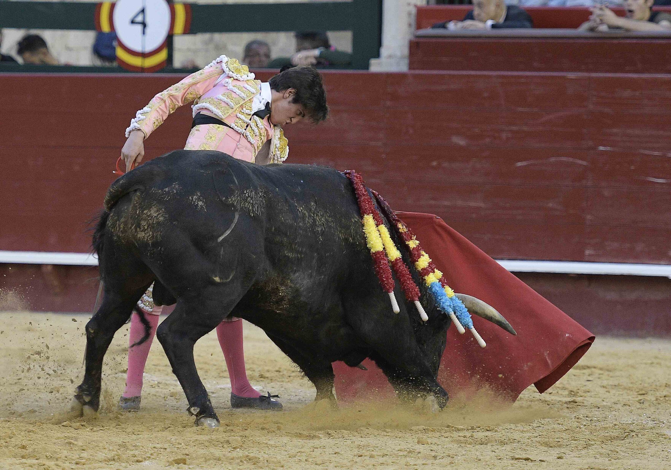 Valencia - Novillada Picada - Sábado 12 de mayo de 2018