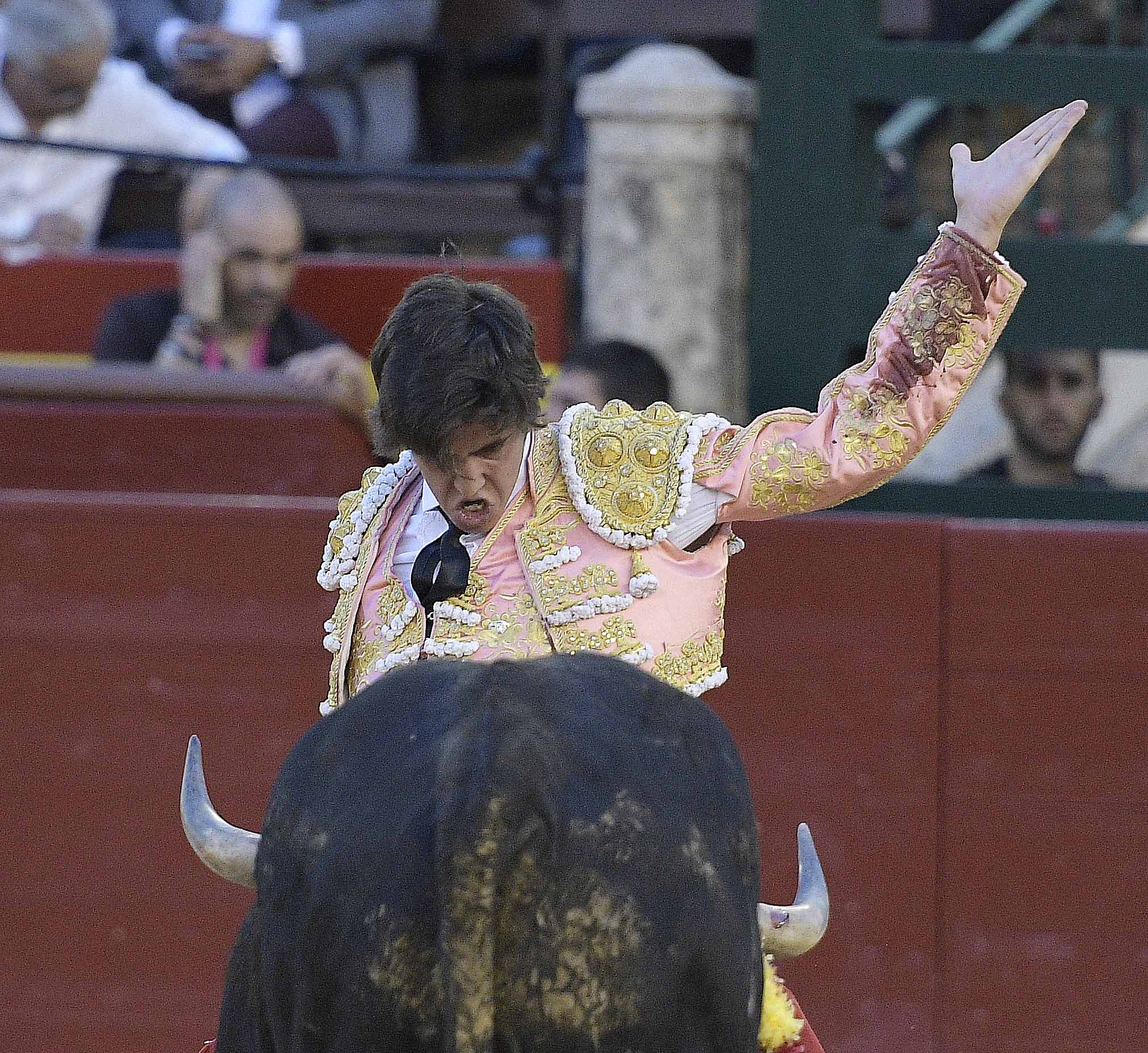 Valencia - Novillada Picada - Sábado 12 de mayo de 2018