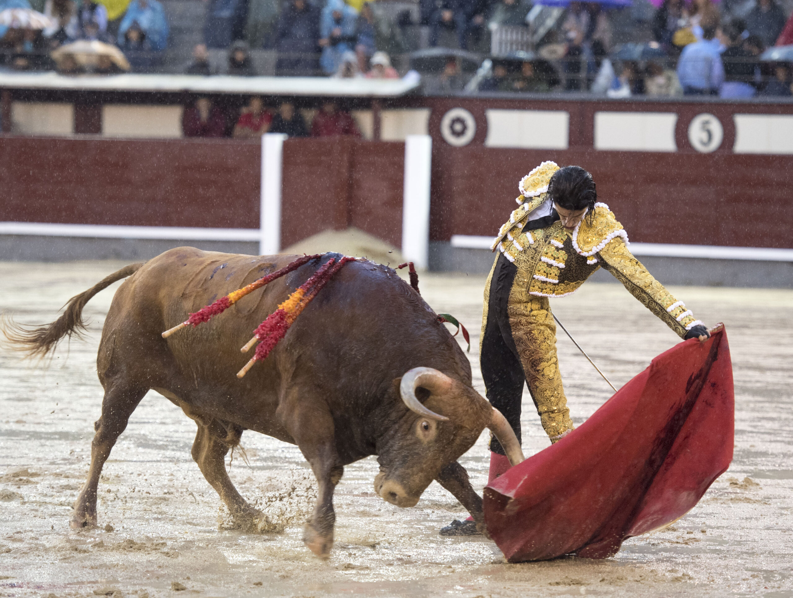 Madrid - Feria de San Isidro - Corrida de toros - Viernes 25 de mayo de 2018