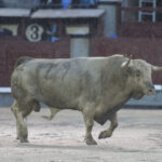 Madrid - Feria de San Isidro - Corrida de toros - Viernes 25 de mayo de 2018