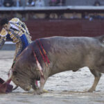 Madrid - Feria de San Isidro - Corrida de toros - Viernes 25 de mayo de 2018