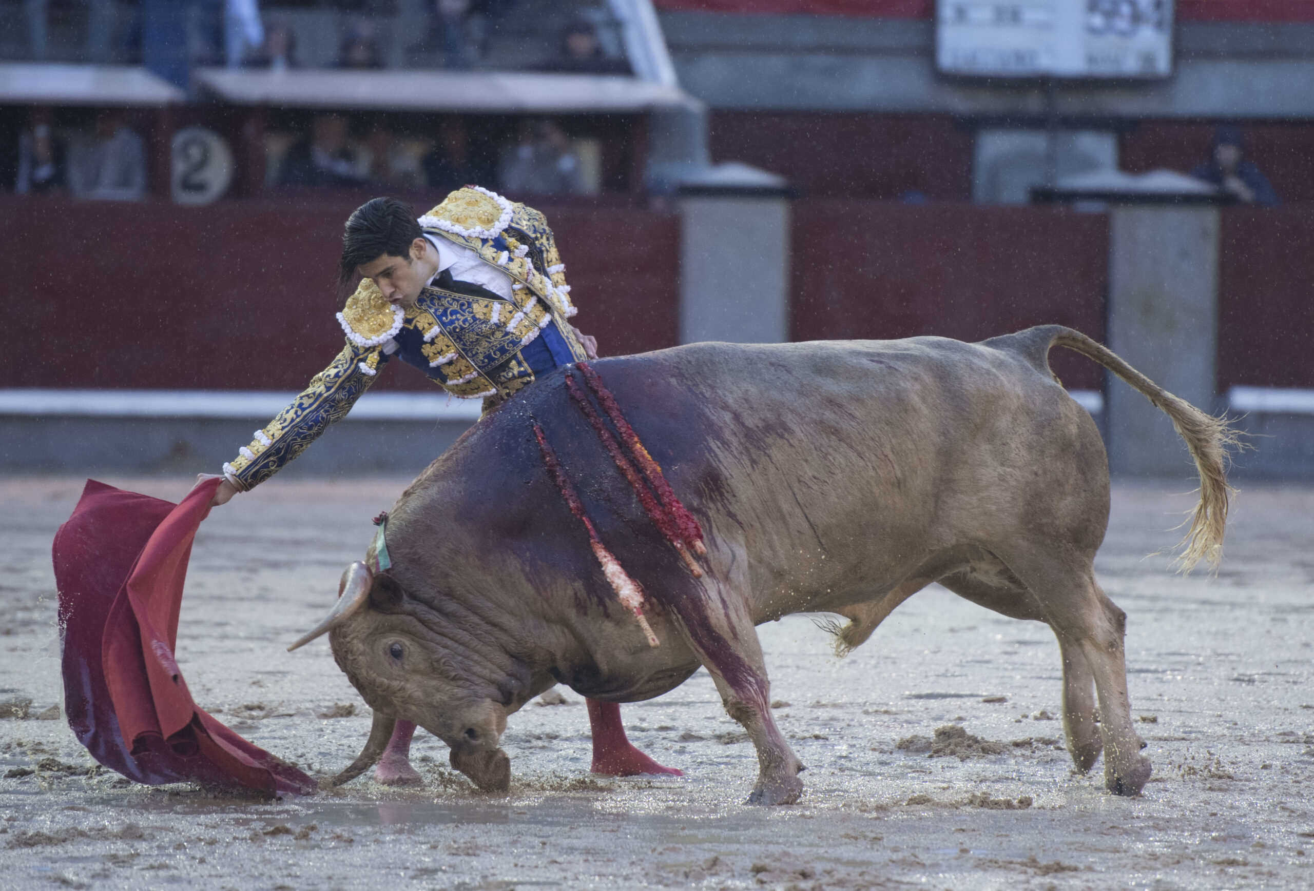 Madrid - Feria de San Isidro - Corrida de toros - Viernes 25 de mayo de 2018