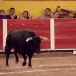 Aguascalientes (México), lunes 30 de abril de 2018. Festival Plaza San Marcos