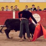 Aguascalientes (México), lunes 30 de abril de 2018. Festival Plaza San Marcos