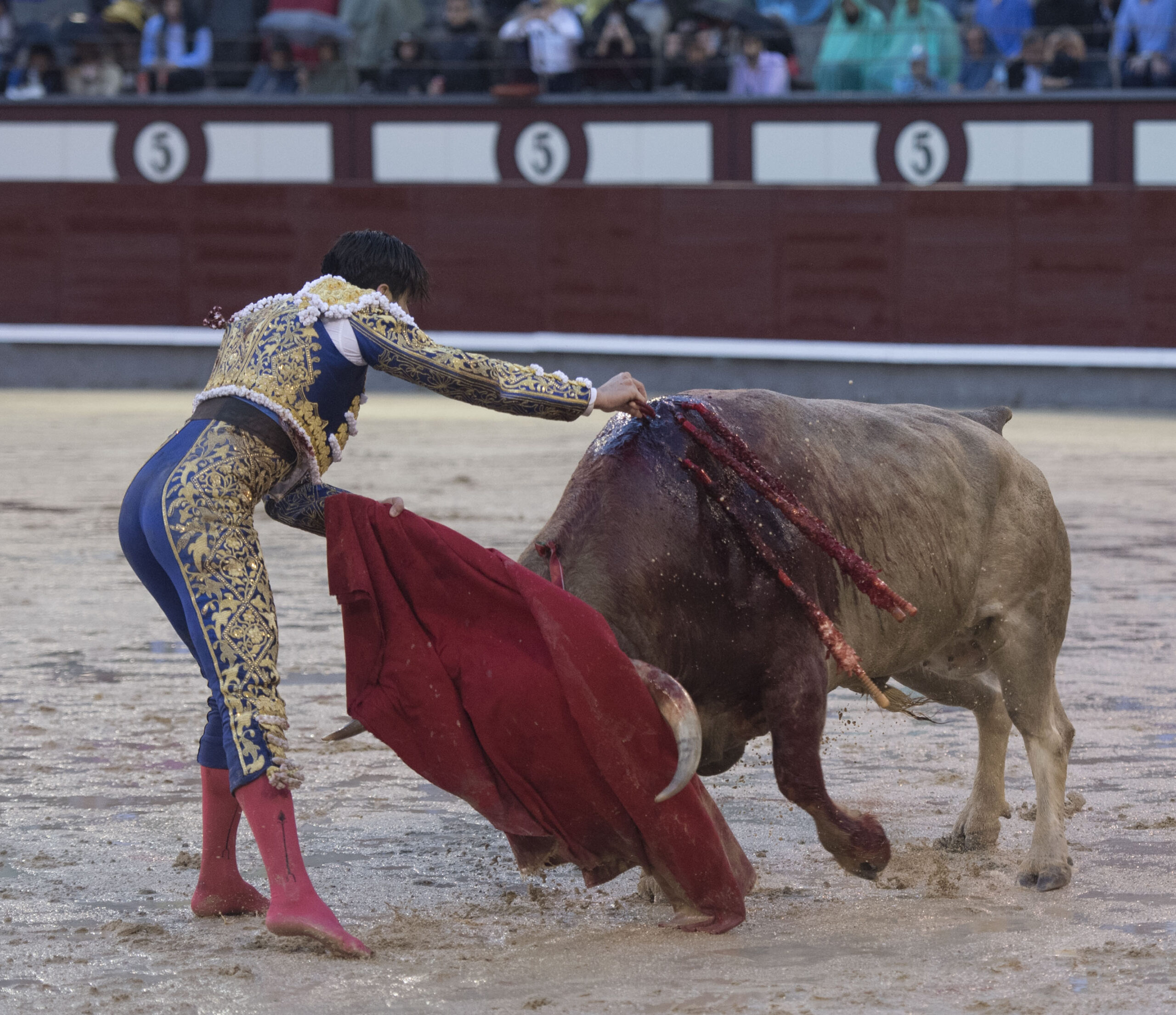 Madrid - Feria de San Isidro - Corrida de toros - Viernes 25 de mayo de 2018