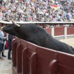 Madrid - Feria de San Isidro - Corrida de rejones - Domingo 20 de mayo de 2018