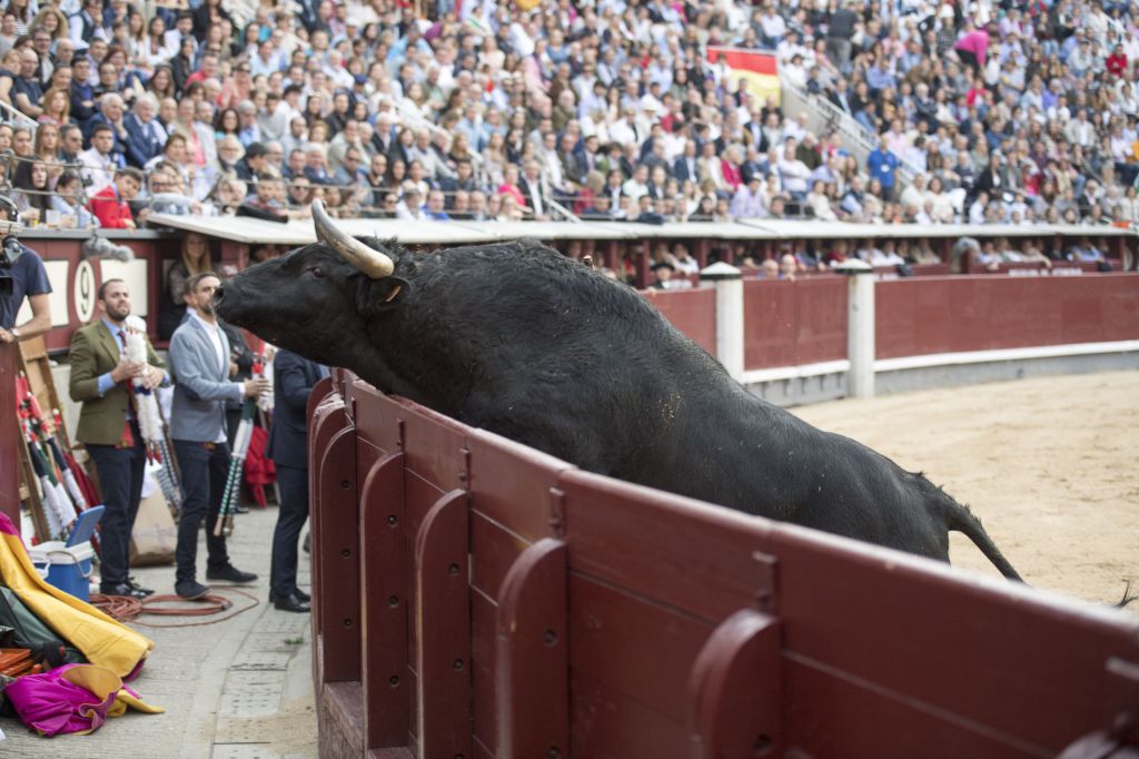 Madrid - Feria de San Isidro - Corrida de rejones - Domingo 20 de mayo de 2018