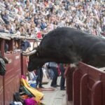 Madrid - Feria de San Isidro - Corrida de rejones - Domingo 20 de mayo de 2018