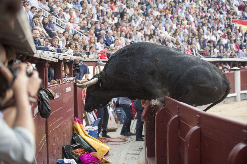 Madrid - Feria de San Isidro - Corrida de rejones - Domingo 20 de mayo de 2018