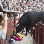 Madrid - Feria de San Isidro - Corrida de rejones - Domingo 20 de mayo de 2018