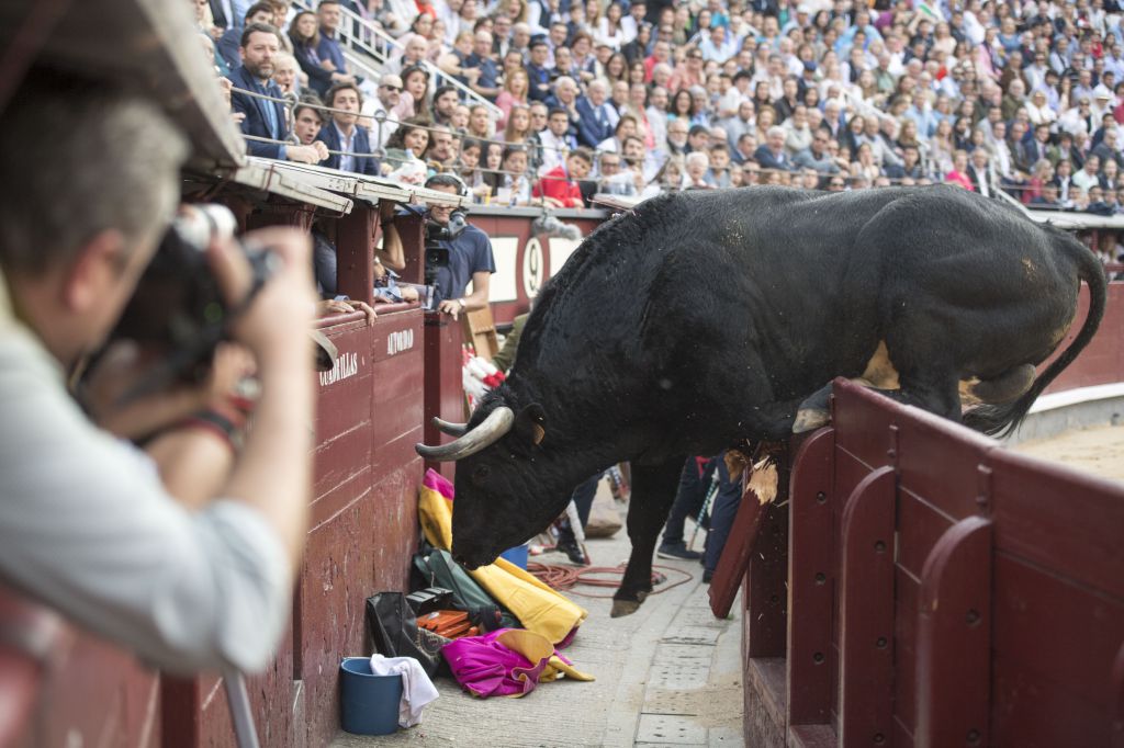 Madrid - Feria de San Isidro - Corrida de rejones - Domingo 20 de mayo de 2018