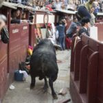 Madrid - Feria de San Isidro - Corrida de rejones - Domingo 20 de mayo de 2018