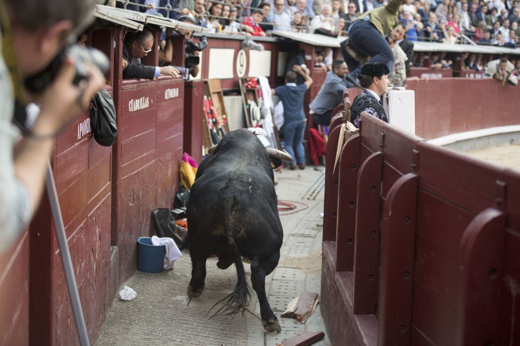 Madrid - Feria de San Isidro - Corrida de rejones - Domingo 20 de mayo de 2018