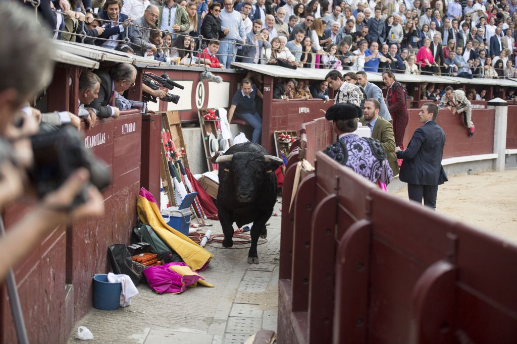 Madrid - Feria de San Isidro - Corrida de rejones - Domingo 20 de mayo de 2018