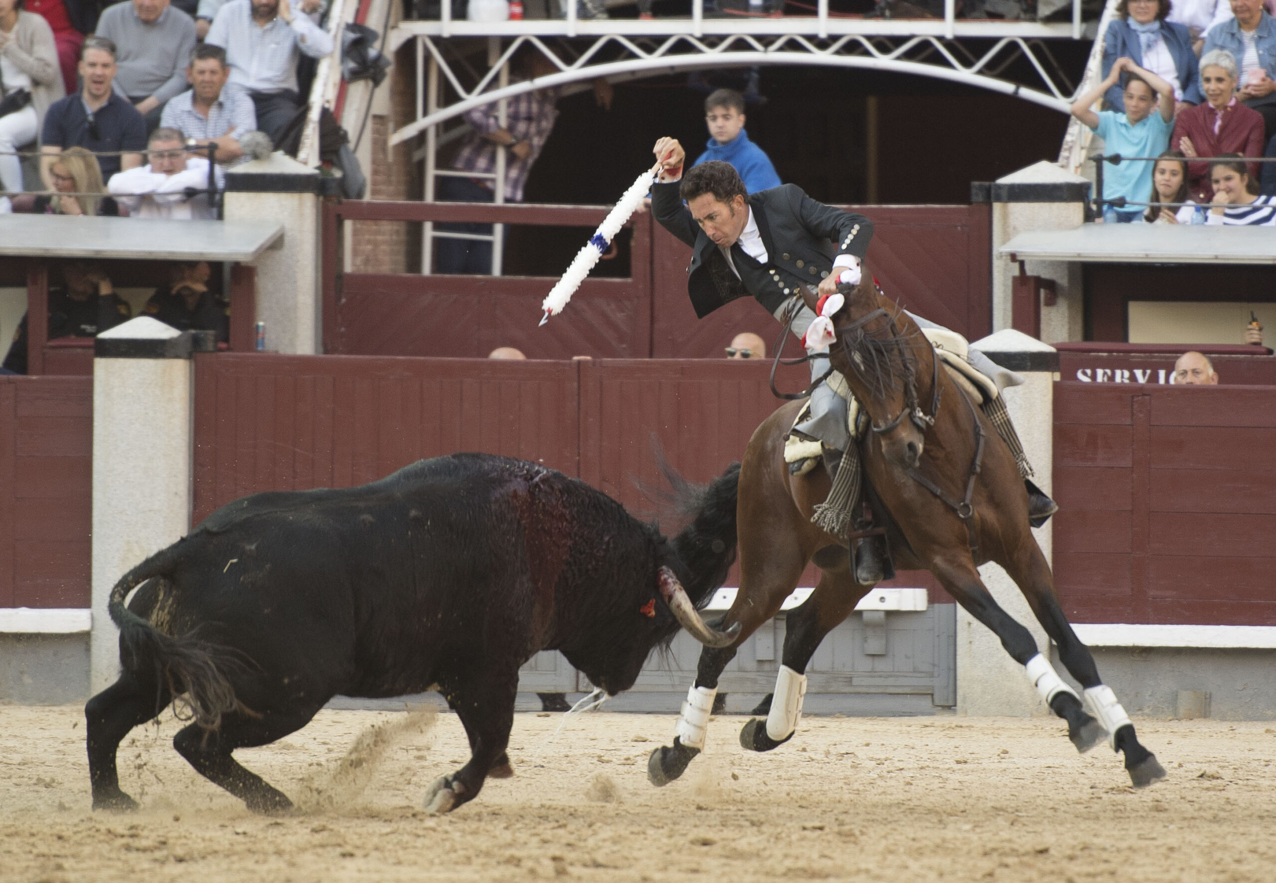 Madrid - Feria de San Isidro - Corrida de rejones - Domingo 20 de mayo de 2018