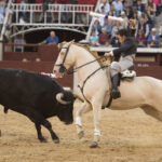 Madrid - Feria de San Isidro - Corrida de rejones - Domingo 20 de mayo de 2018