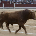 Madrid - Las Ventas - San Isidro - Viernes 11 de mayo de 2018