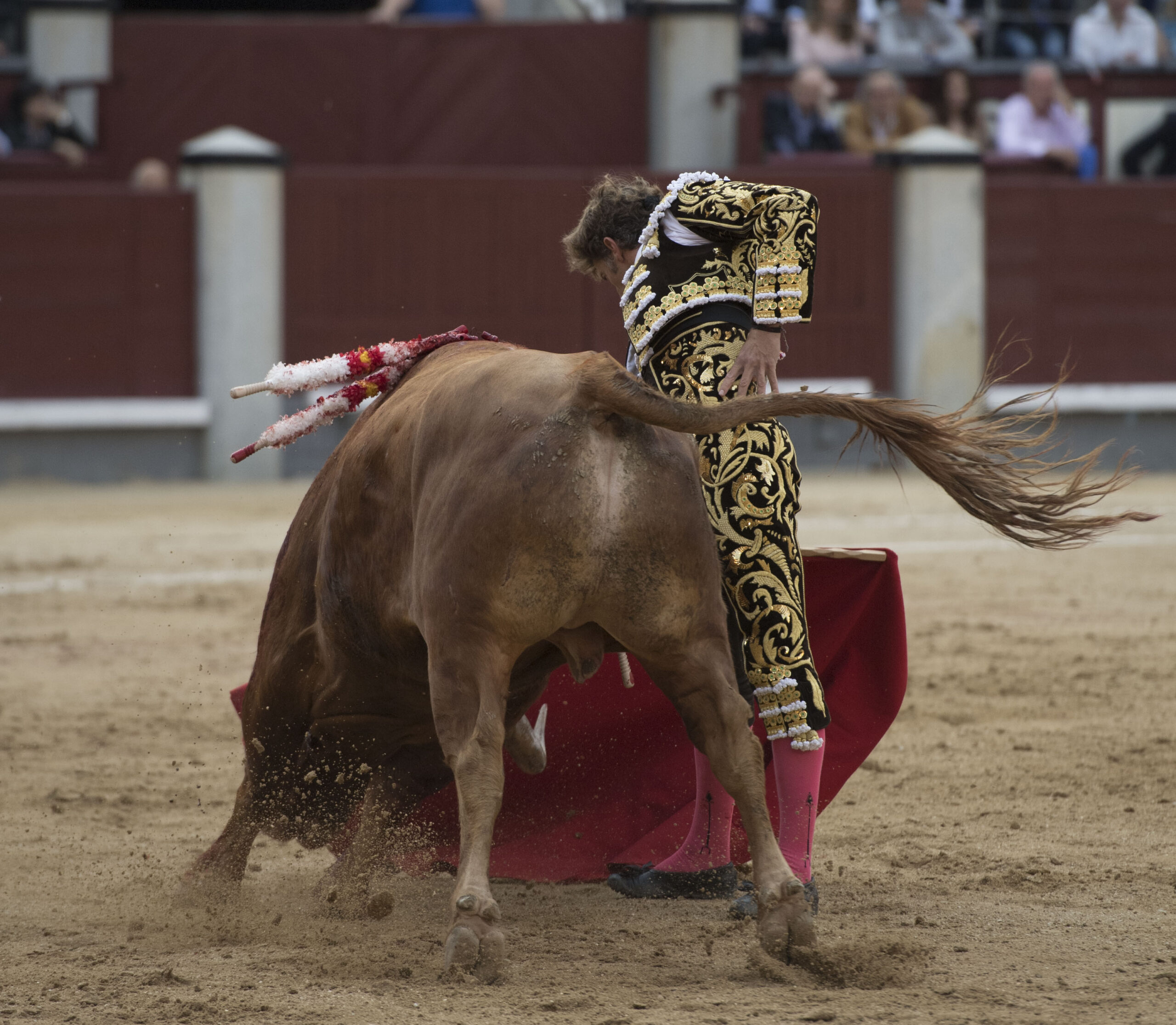 Madrid - Las Ventas - San Isidro - Viernes 11 de mayo de 2018