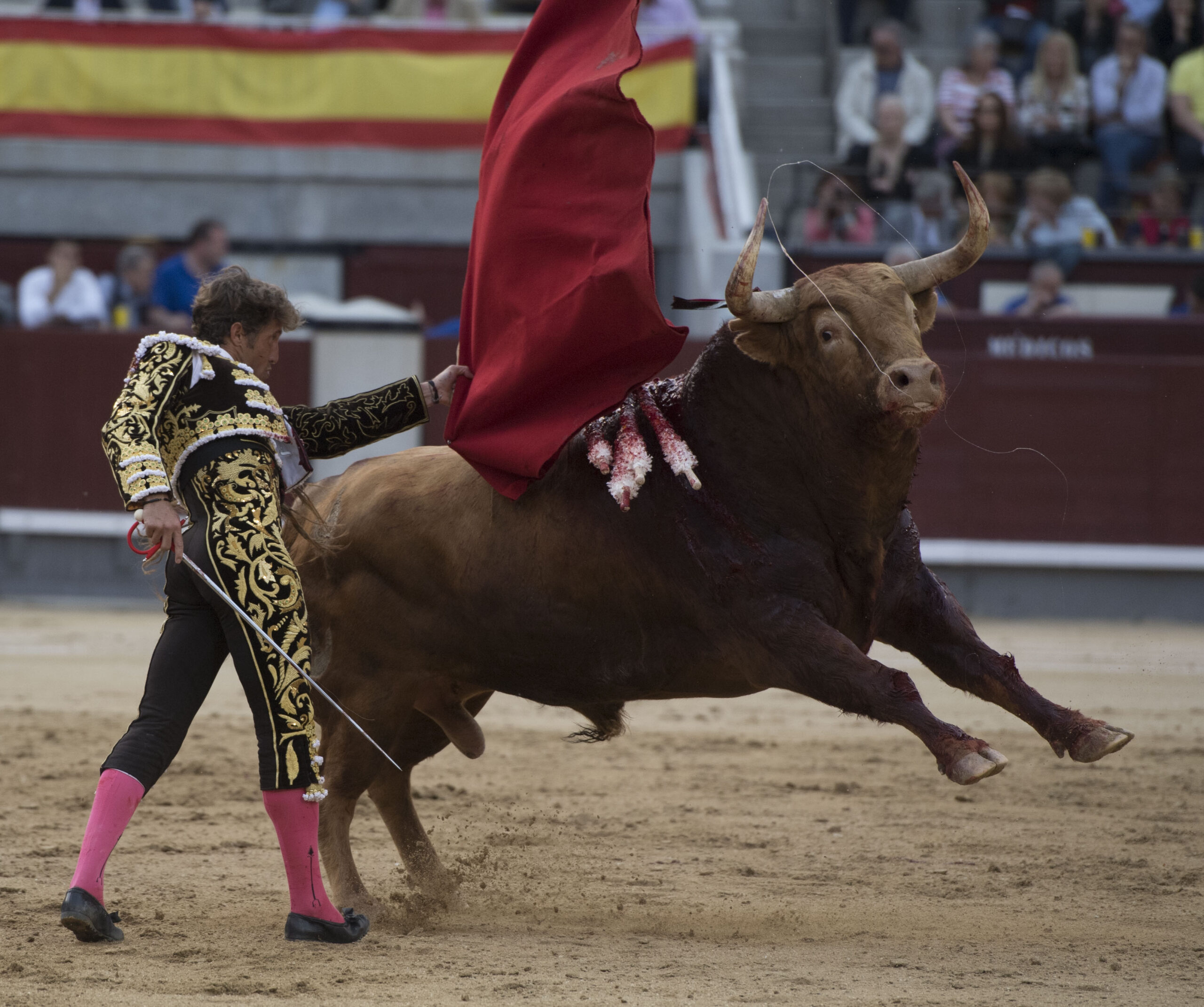 Madrid - Las Ventas - San Isidro - Viernes 11 de mayo de 2018