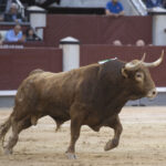 Madrid - Las Ventas - San Isidro - Viernes 11 de mayo de 2018