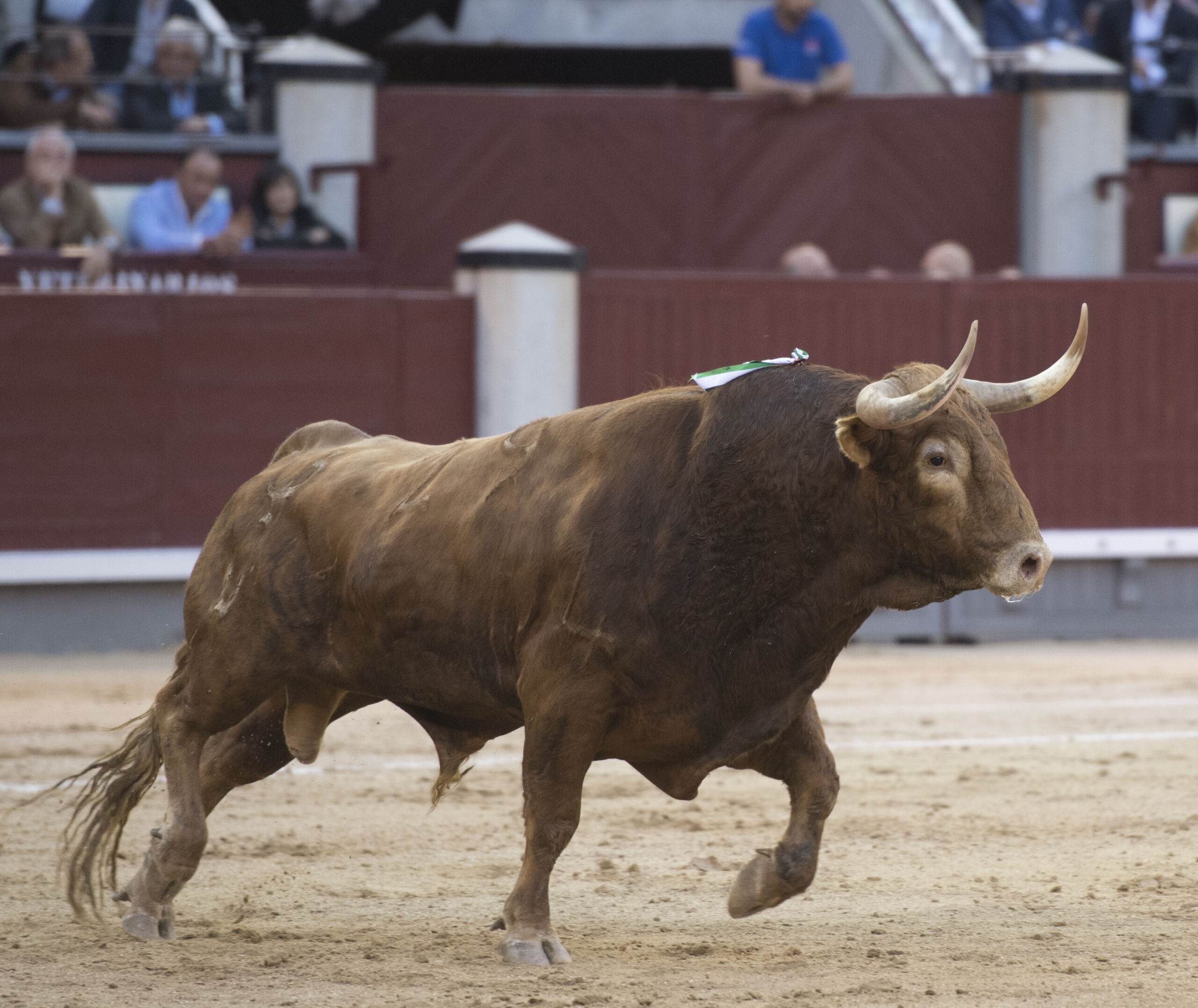Madrid - Las Ventas - San Isidro - Viernes 11 de mayo de 2018