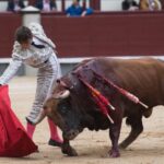 Madrid, 6 de mayo de 2018