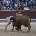 Madrid - Las Ventas - San Isidro - Viernes 11 de mayo de 2018