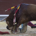 Madrid - Las Ventas - San Isidro - Viernes 11 de mayo de 2018