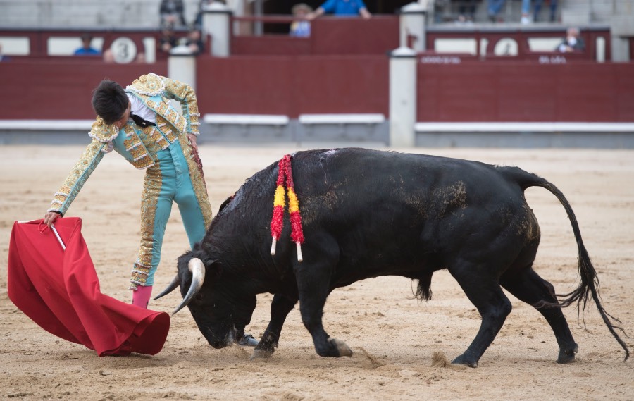 Madrid, 6 de mayo de 2018