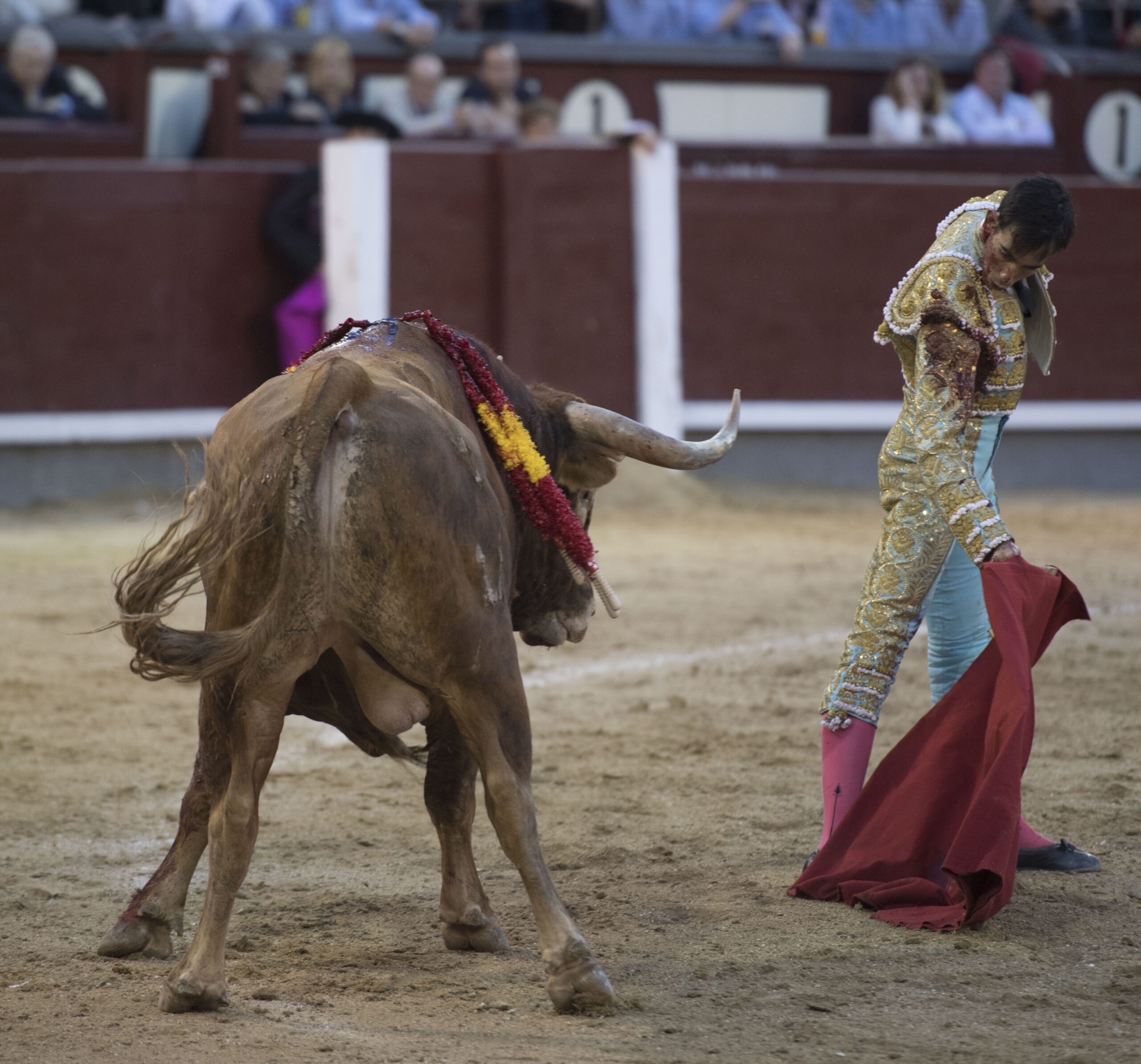 Madrid - Las Ventas - San Isidro - Viernes 11 de mayo de 2018