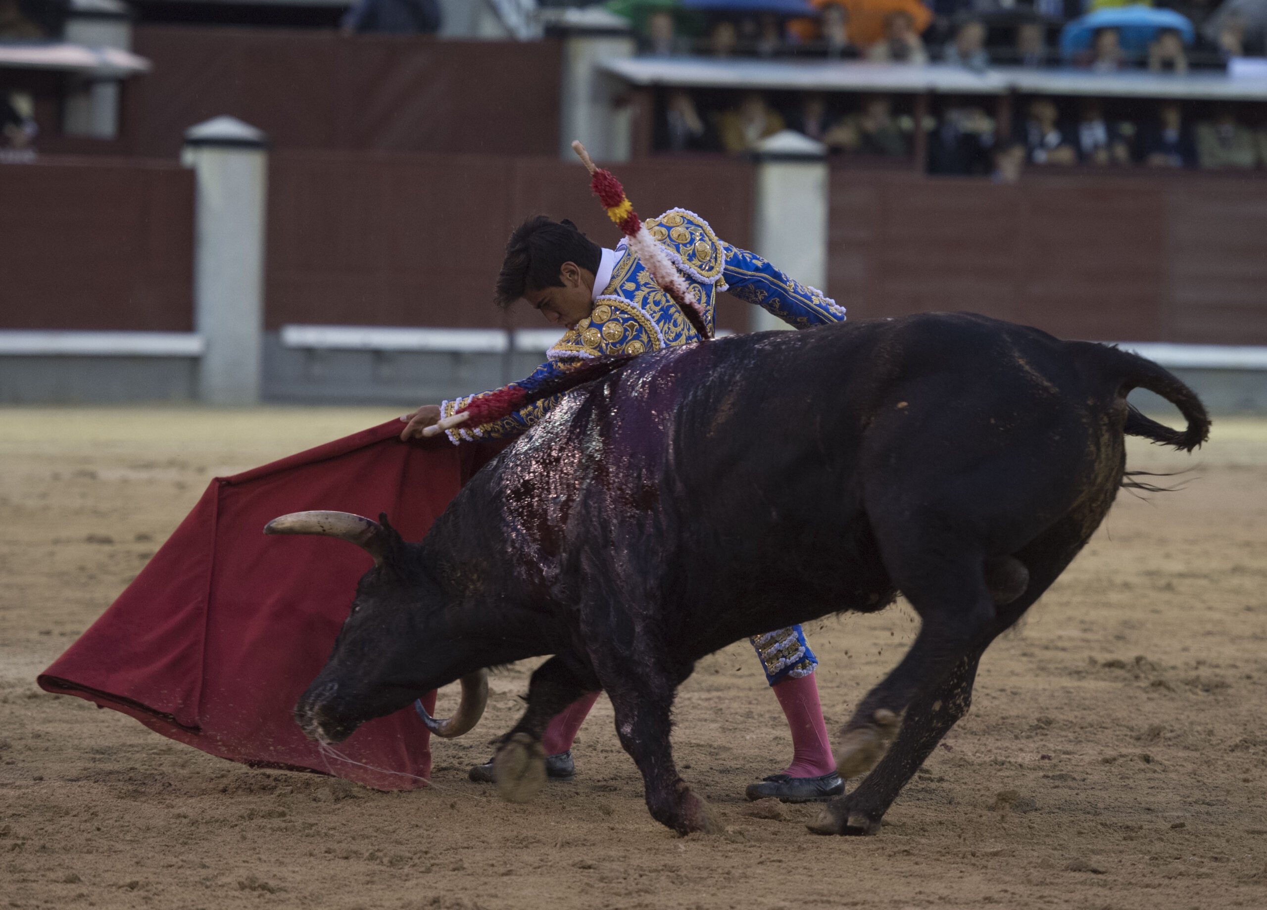 Madrid - Las Ventas - San Isidro - Viernes 11 de mayo de 2018