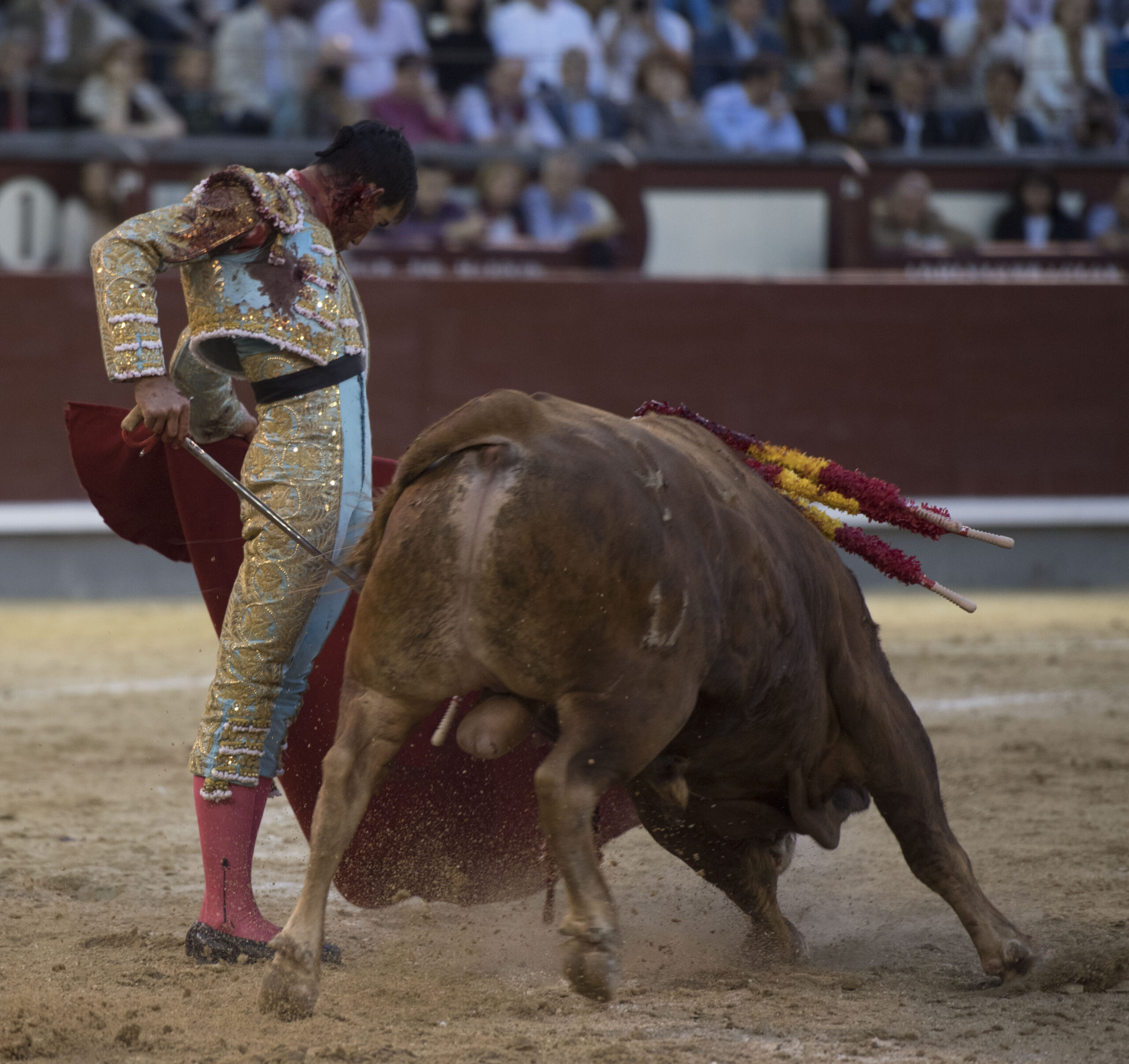 Madrid - Las Ventas - San Isidro - Viernes 11 de mayo de 2018