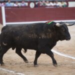 Madrid, 6 de mayo de 2018