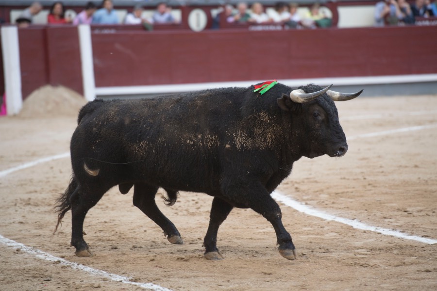 Madrid, 6 de mayo de 2018