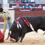 Madrid, 6 de mayo de 2018