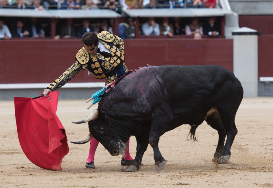 Madrid, 13 de mayo de 2018