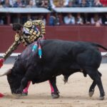 Madrid, 13 de mayo de 2018