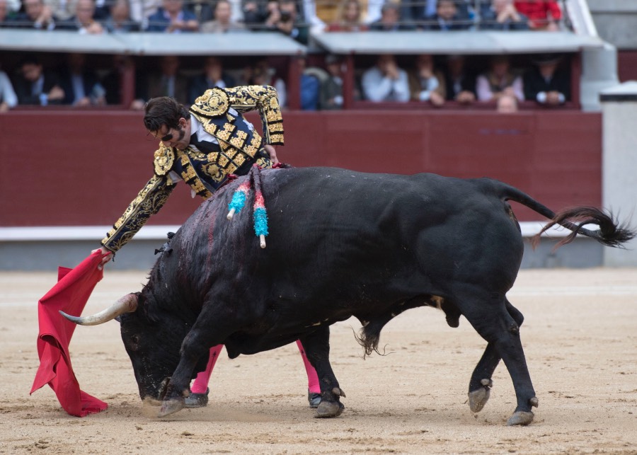 Madrid, 13 de mayo de 2018