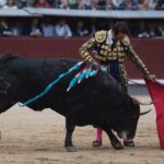 Madrid, 13 de mayo de 2018