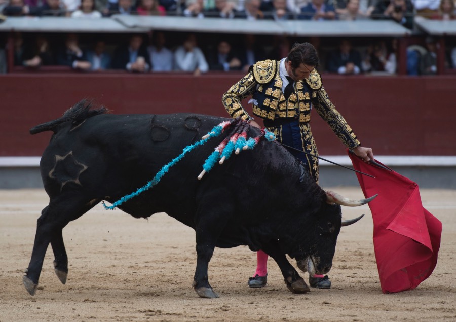 Madrid, 13 de mayo de 2018