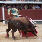 Madrid, 13 de mayo de 2018