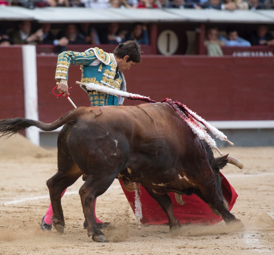 Madrid, 13 de mayo de 2018